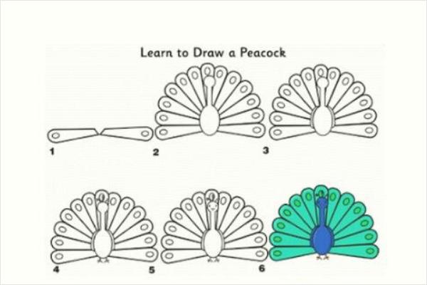 孔雀簡筆畫帶顏色(畫圖步驟)