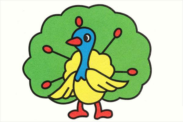 孔雀簡筆畫帶顏色(畫圖步驟)