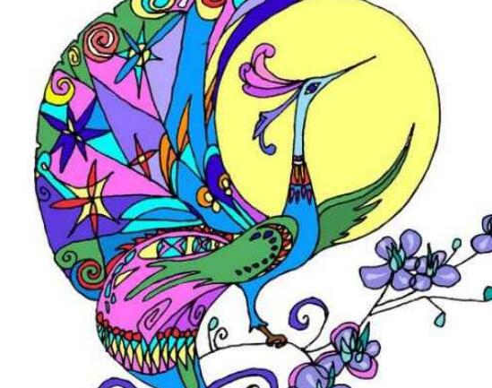 孔雀簡筆畫帶顏色(畫圖步驟)