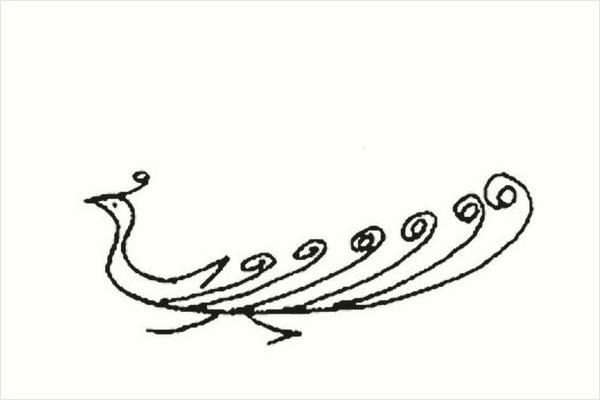 孔雀簡筆畫帶顏色(畫圖步驟)