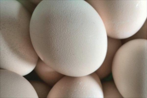 孔雀蛋的營養價值與功效作用