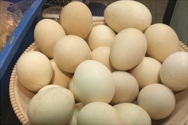 孔雀蛋的營養價值與功效作用