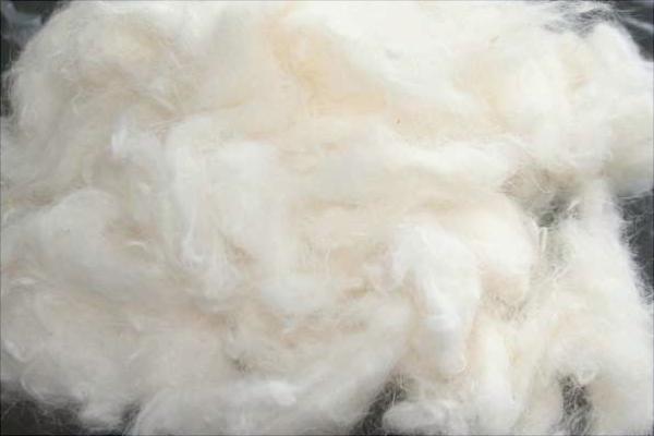 長毛兔兔毛價格多少?