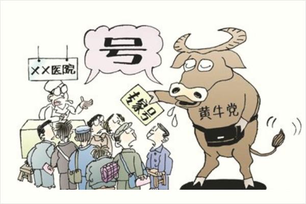 我經常說的黃牛是什么意思?