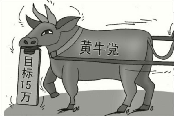 我經常說的黃牛是什么意思?