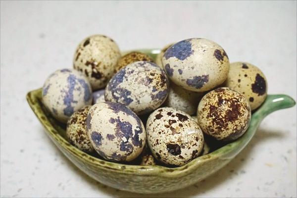 鵪鶉蛋價格多少錢一斤？