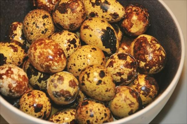 鵪鶉蛋湯的做法及營養功效