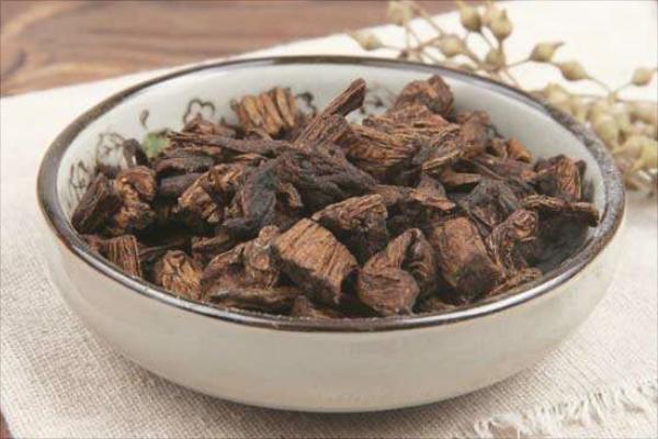 中藥百部的前景