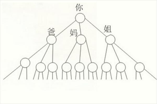 廣西南寧北部灣瘋狂的資本運作 記者深入調查1040傳銷