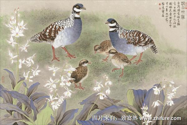 鵪鶉和鴿子的區別是什么？