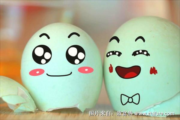 綠殼蛋雞哪個品種好？