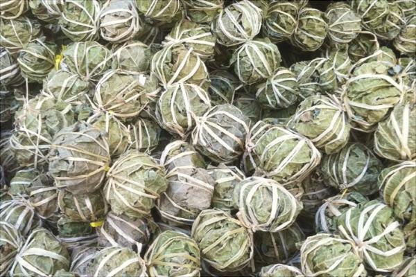 鷓鴣茶的功效與作用