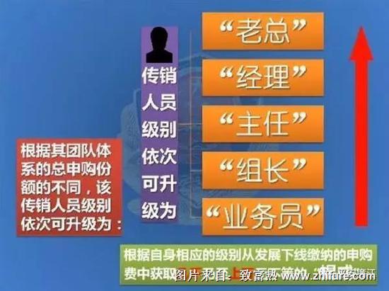 煞費苦心做老總，識破傳銷方悔悟