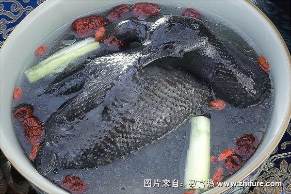 枸杞紅棗烏雞湯的做法