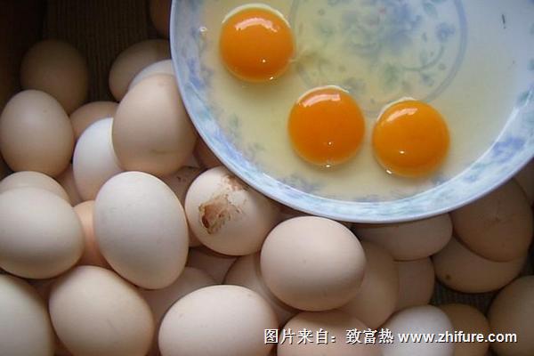 土雞蛋多少錢一斤？