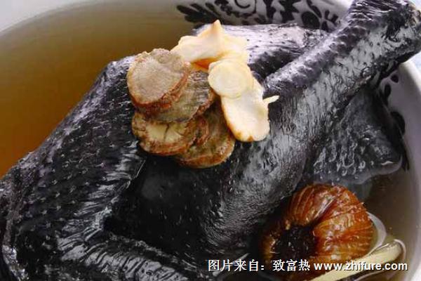 田七烏雞湯做法