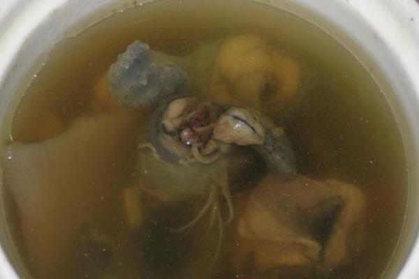 烏雞燉什么下奶?