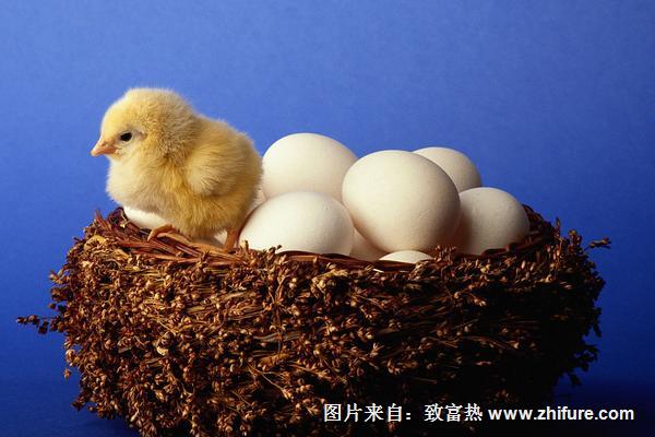 蛋雞產蛋率下降怎么辦？