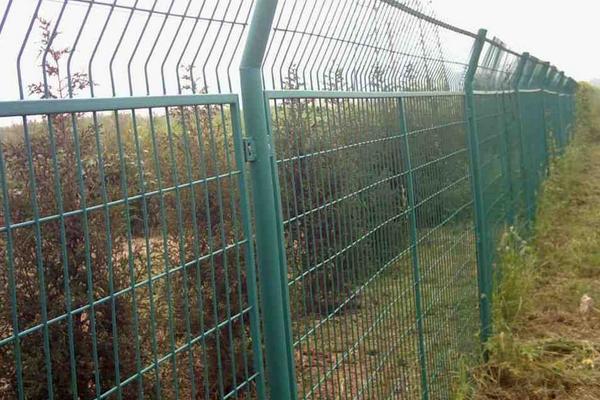 山地養土雞圍欄選用及價格