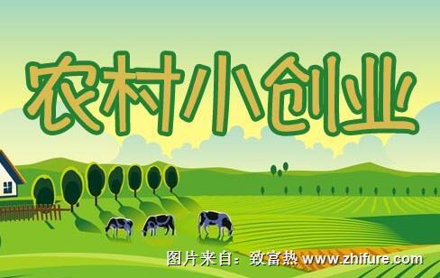 在農村可以怎么創業?農村創業項目推薦