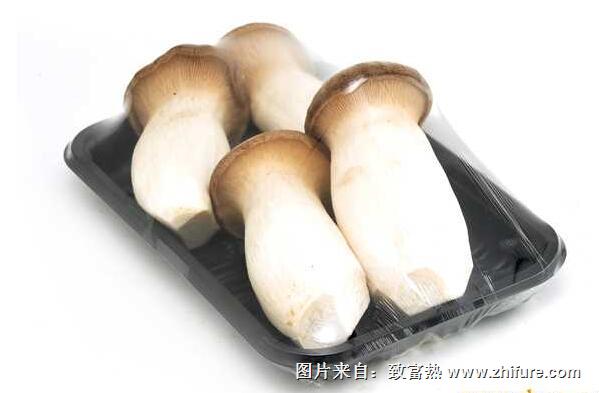 如何選購杏鮑菇，杏鮑菇的營養價值？