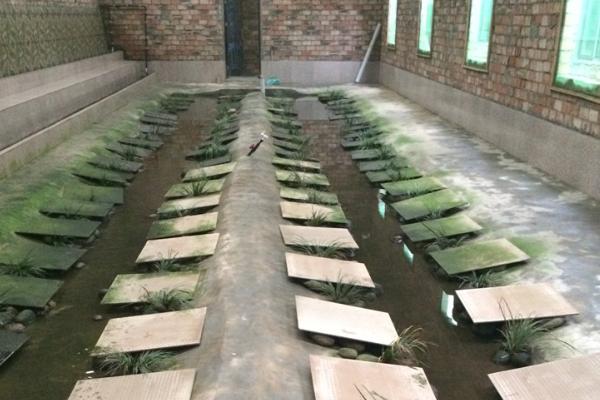 石蛙養殖廠建設圖片