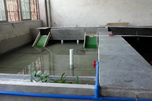 石蛙養殖廠建設圖片