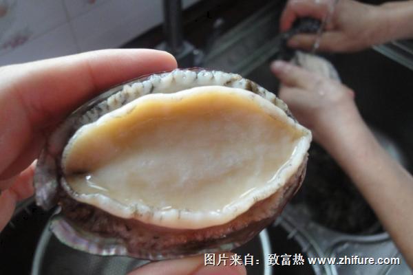 鮑魚怎么清洗干凈？