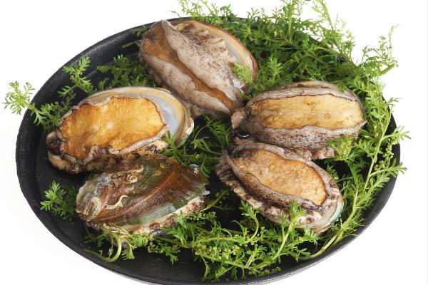 孕婦能吃鮑魚嗎?