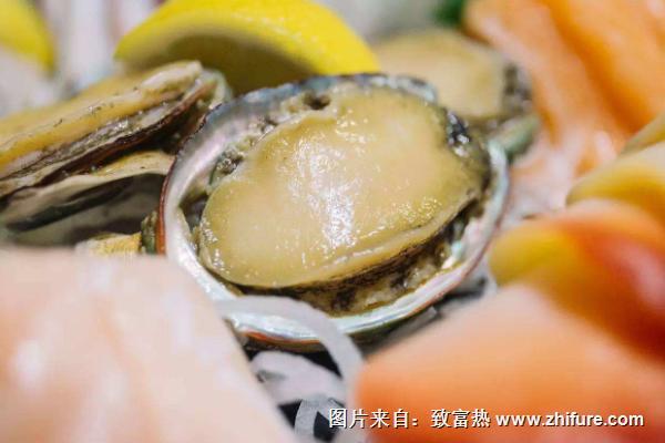 鮑魚幾頭是什么意思？