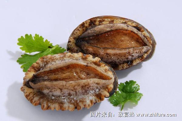 鮑魚怎么殺？