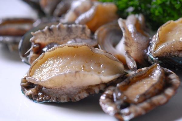 鮑魚怎么殺？