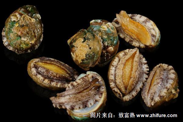 鮑魚死了能吃嗎？