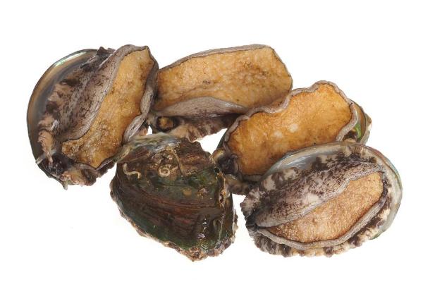 鮑魚死了能吃嗎?