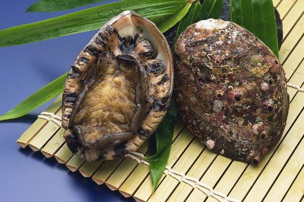 鮑魚死了能吃嗎?