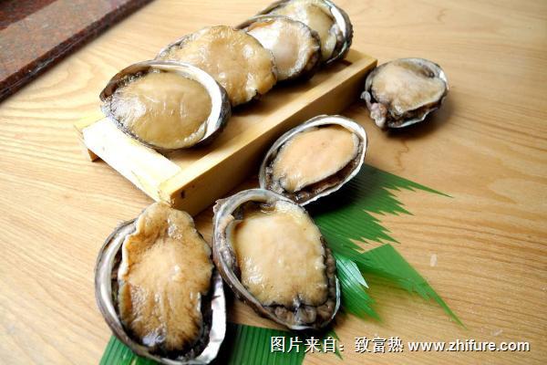 鮑魚和生蠔的區(qū)別是什么？