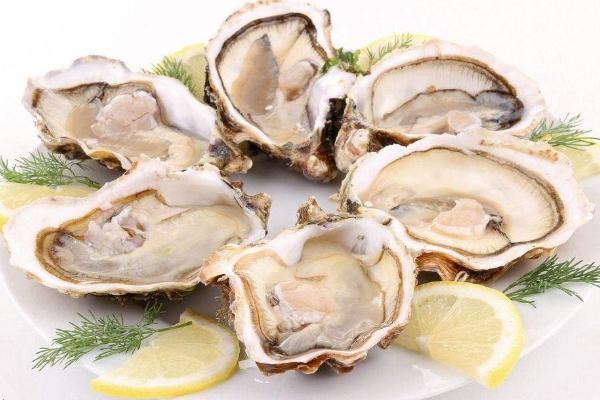 鮑魚和生蠔的區(qū)別是什么？