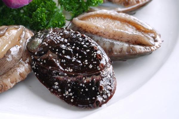 鮑魚和生蠔的區(qū)別是什么？