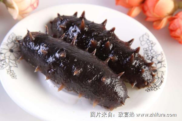 孕婦能吃海參嗎？