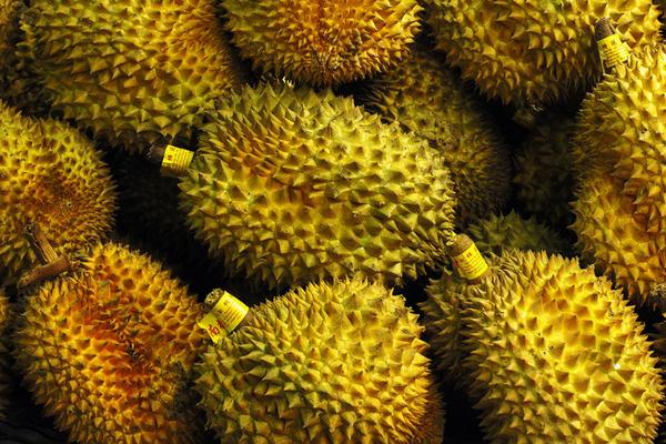 榴蓮是買大的好還是買小的好?