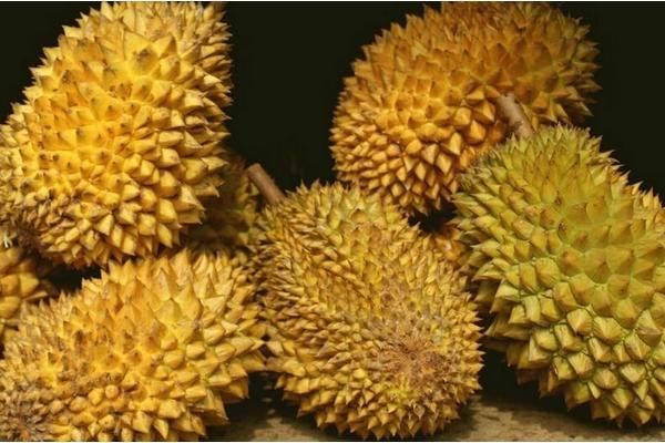 榴蓮是買大的好還是買小的好?