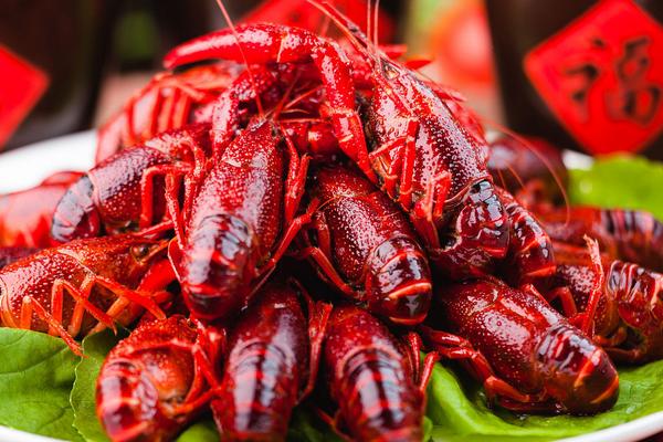 小龍蝦養殖成本與利潤