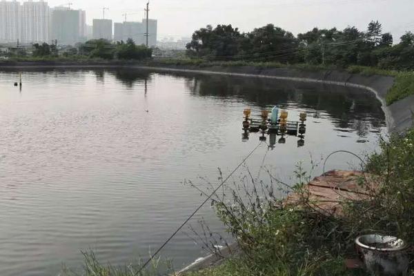 養蝦一畝可以賺多少錢