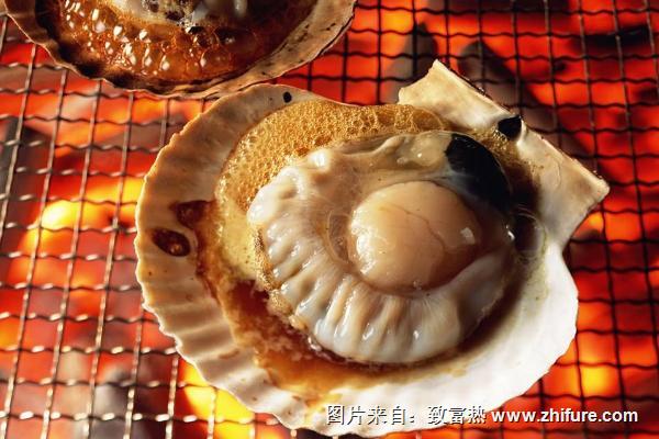 扇貝的做法大全