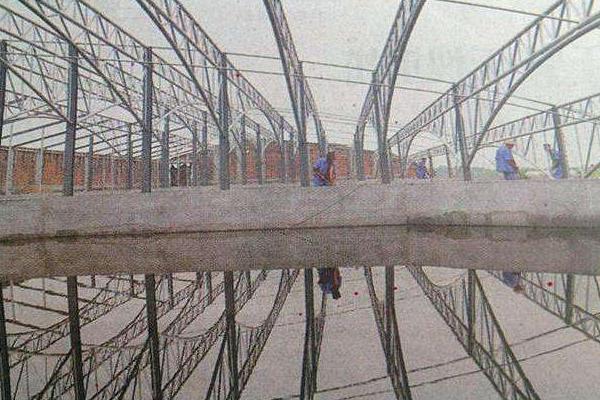 利用大棚養蝦的新模式