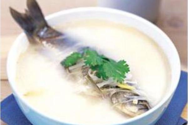 鯽魚湯的家常做法大全