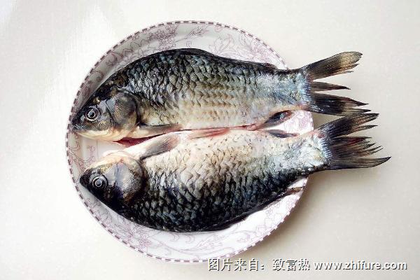 鯽魚的營養價值及功效與作用