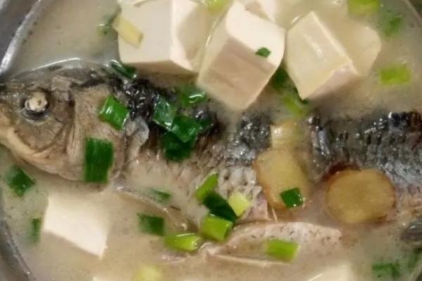 鯽魚豆腐湯的家常做法