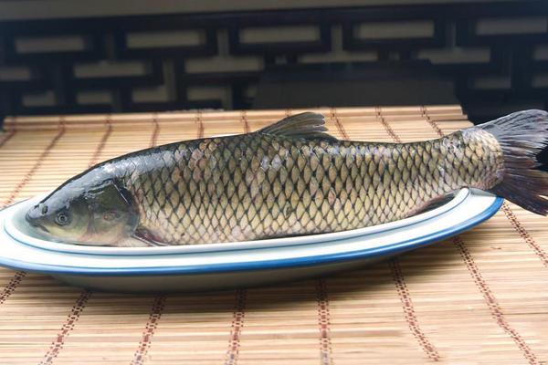 孕婦能吃草魚嗎？