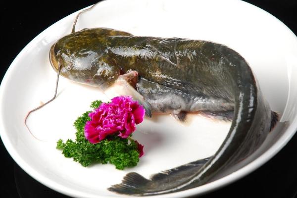 鲇魚和鯰魚有什么區別？